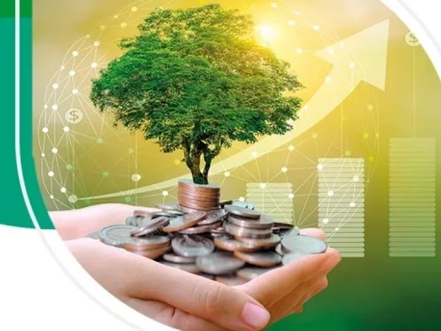 Bankalar Yeşil Varlıklarını Raporlamaya Başlıyor