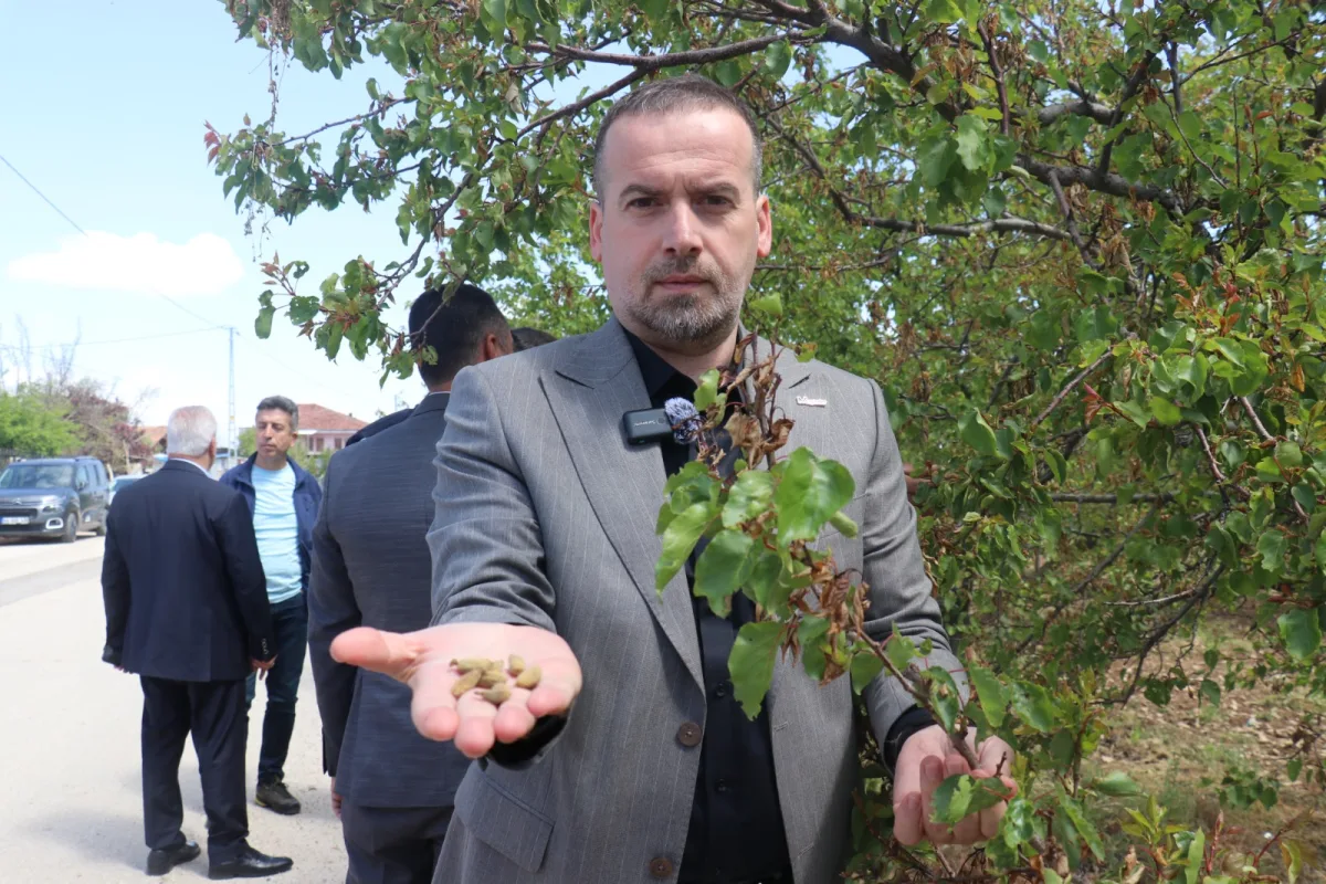 MAGİNDER SAHAYA İNDİ, ÇİFTÇİLERLE DESTEK BEKLİYOR!