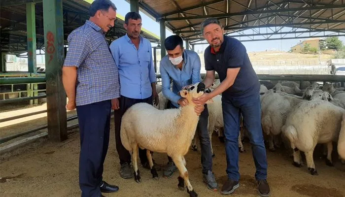 Malatya Çiftçisinin Zirai Kredi Borçları Ertelenmiyor.