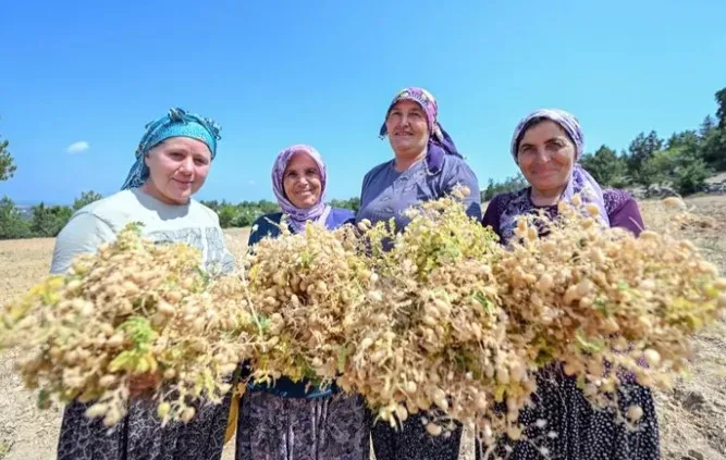 Ata Tohumları Geleceğe Güvenceyle Taşınıyor