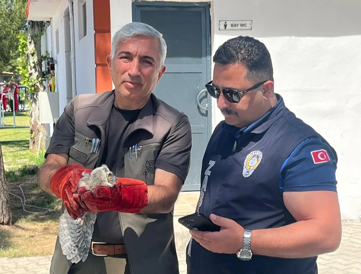 BATTALGAZİ ZABITASI BULDUĞU YAVRU BAYKUŞU KORUMA ALTINA ALDI