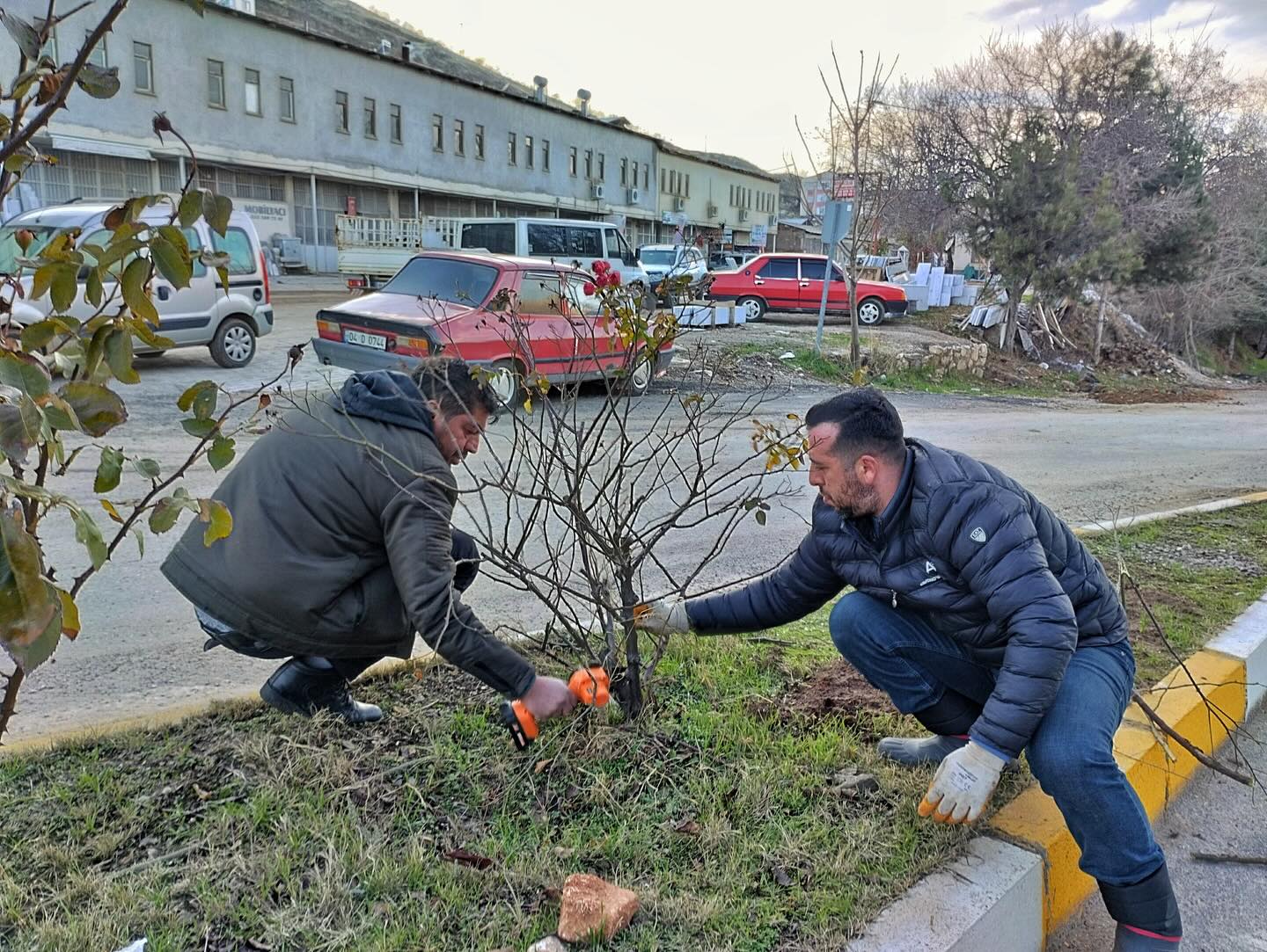 Malatya Arapgir Belediyesi'nden Peyzaj Çalışmaları