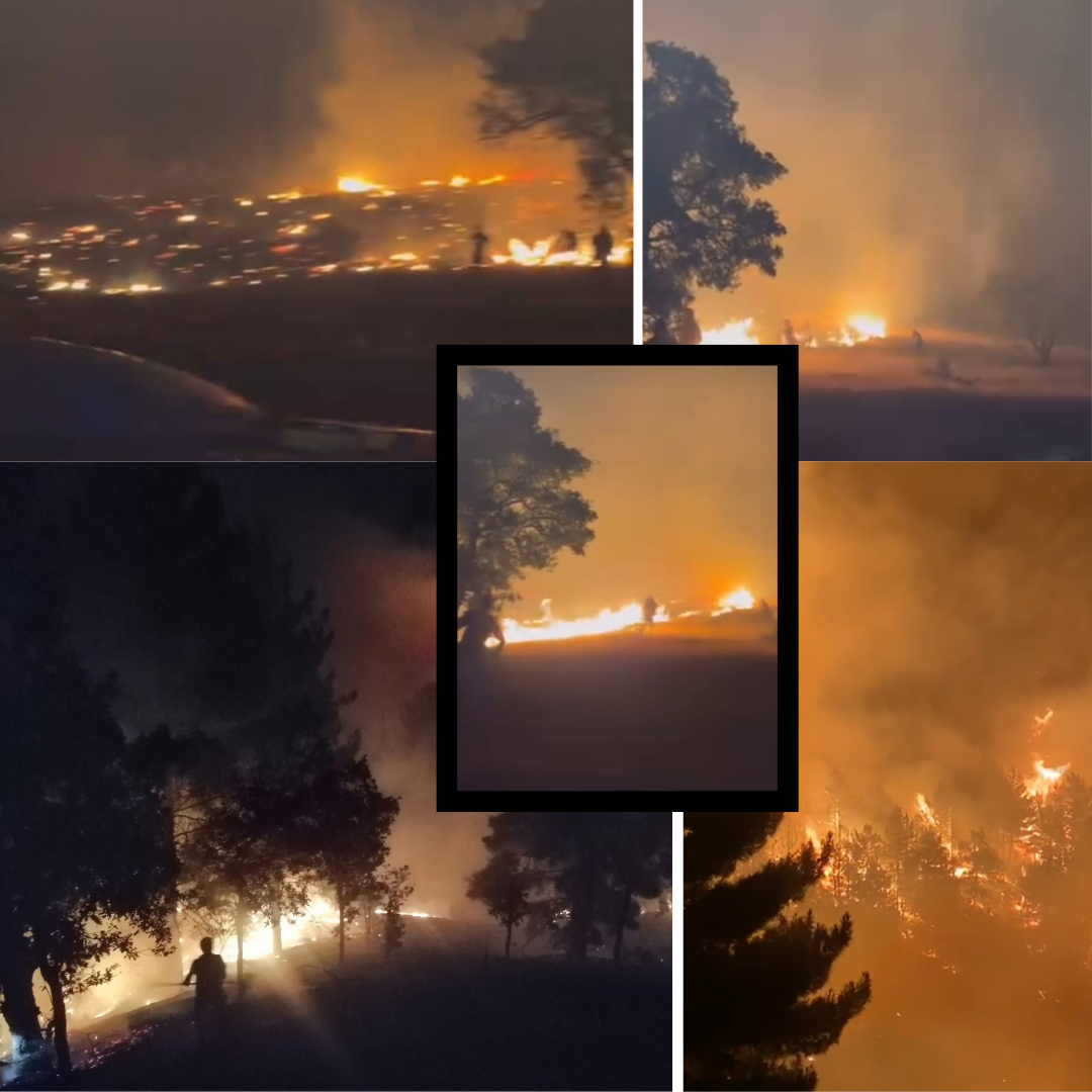 Malatya Sürgü'de Çıkan Yangınlar Sabotaj mı?