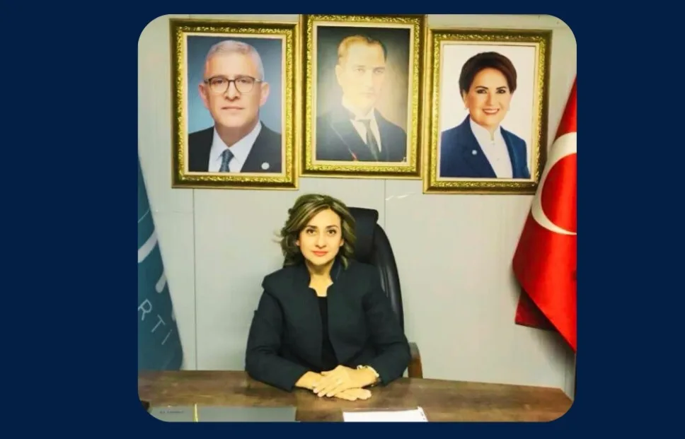 İyi Parti;Ayşe Salman'nın Kadın Şiddetine Tepkisi
