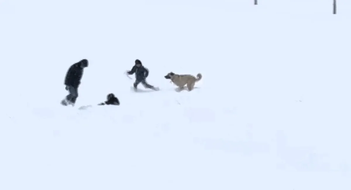 Arguvan’da Kar Neşesi: Çocuklar Oynadı, Köpek de Onlara Katıldı